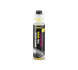Karcher Стеклоомывающая жидкость летняя, 250 мл.