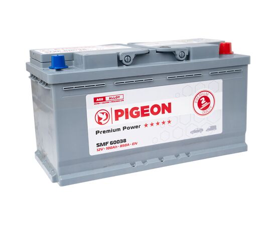 PIGEON SMF 60038 12V 100Ah 850A